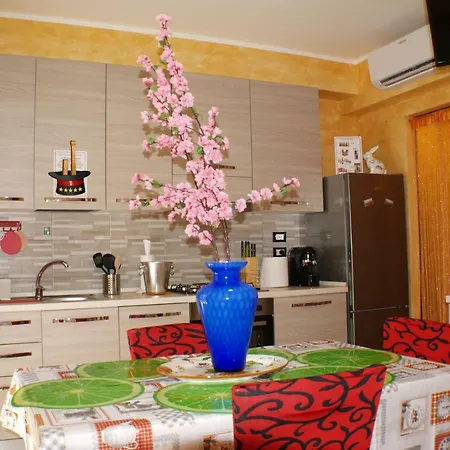 Magica * ボローニャ